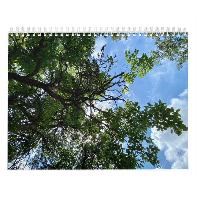 Calendrier Calendar (Protection)