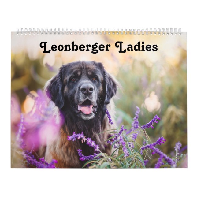 Calendrier Calendar - Leonberger Ladies (Protection)