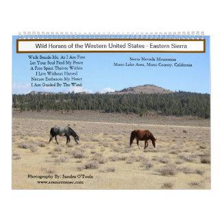 Calendrier Calendar, Wild Horses, Eastern Sierra, California