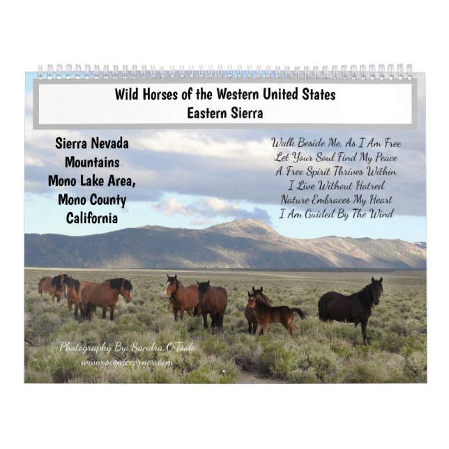 Calendrier Calendar, Wild Horses, Eastern Sierra, California (Protection)