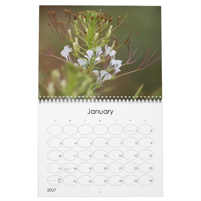 Calendrier Calender animalier du parc national Kruger (Jan 2027)
