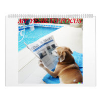 Calender avec différentes photos de chiens lisant