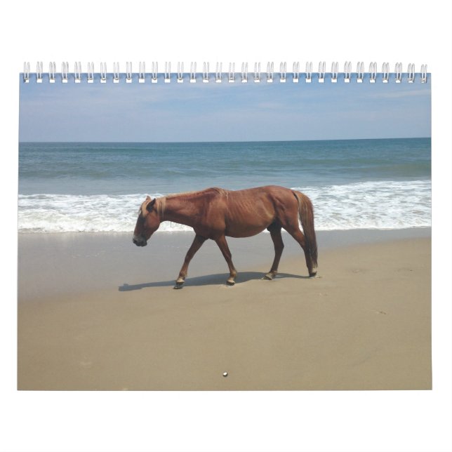 Calendrier Calender de l'environnement naturel (Protection)