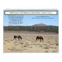 Calendrier, Chevaux Sauvages, Sierra orientale, Ca