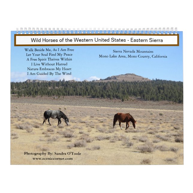Calendrier Calendrier, Chevaux Sauvages, Sierra orientale, Ca (Protection)