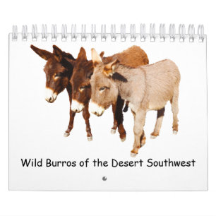 Calendrier Calendrier, faune, burros sauvages, ânes