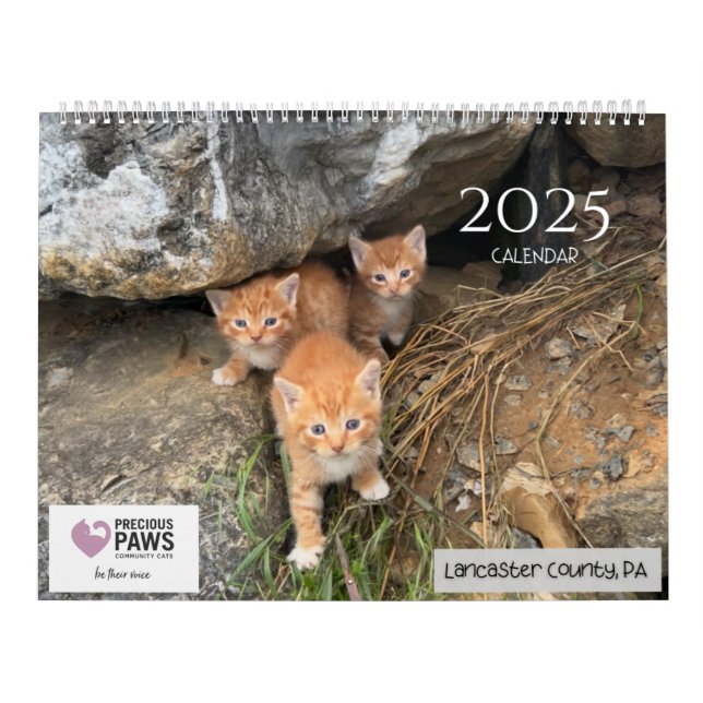Calendrier .Calendrier Precious Paws 2025. (Protection)