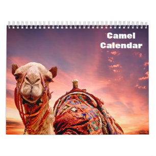 Calendrier Camel