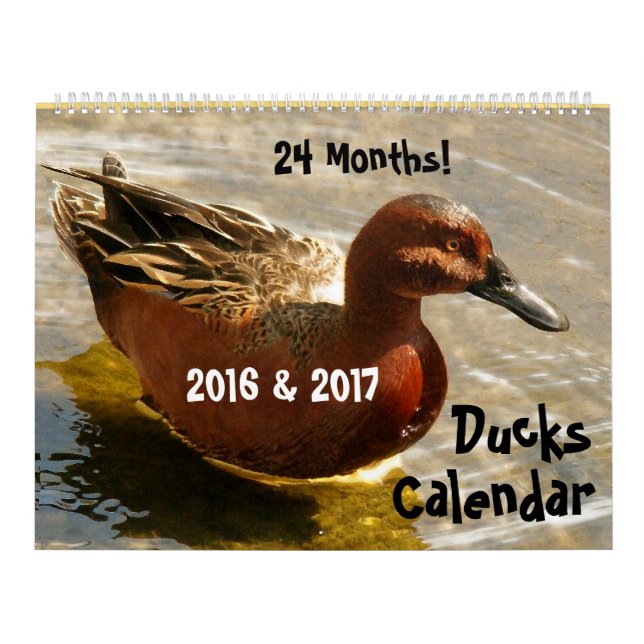 Calendrier Caneton 2016 d'animaux de faune d'oiseaux de (Protection)