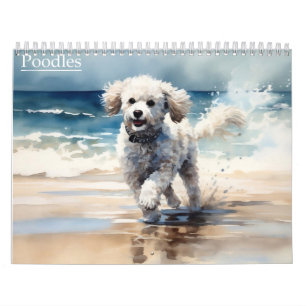 Calendrier Caniches, toute année