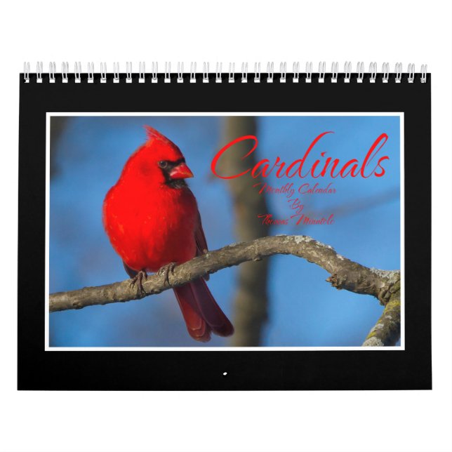 Calendrier Cardinals Monthly Calendar By Thomas Minutolo (Protection)