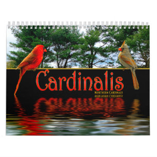 Calendrier Cardinaux Rouges du Nord Cardinalis Belles photos