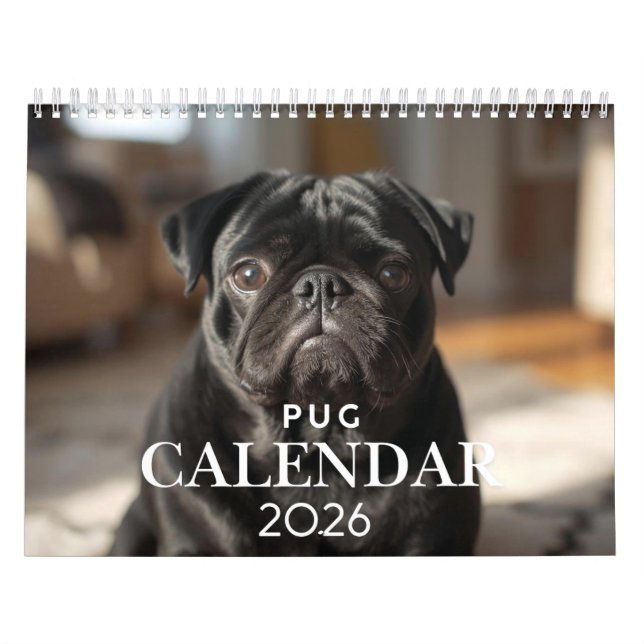 Calendrier Carlin 2026 - Calendrier mural de 12 mo (Protection)