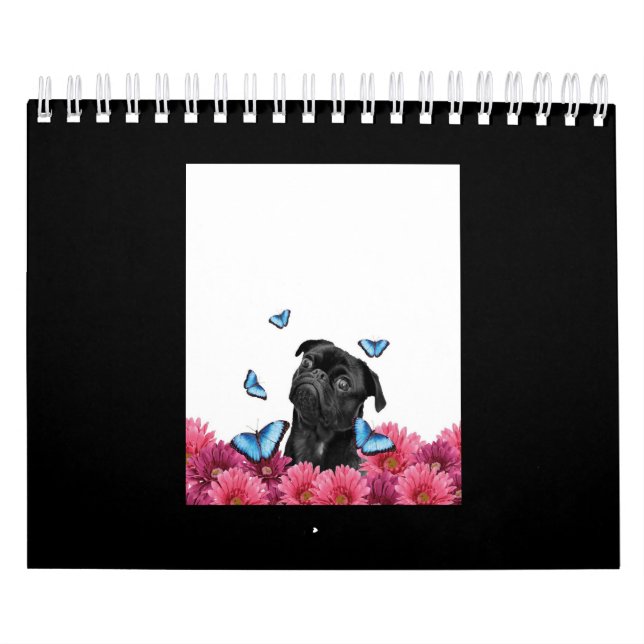 Calendrier Carlin Noir Avec Papillons Bleus Et Gerberas (Protection)