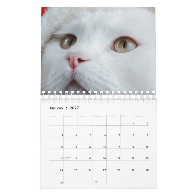 Calendrier Cat (Jan 2027)