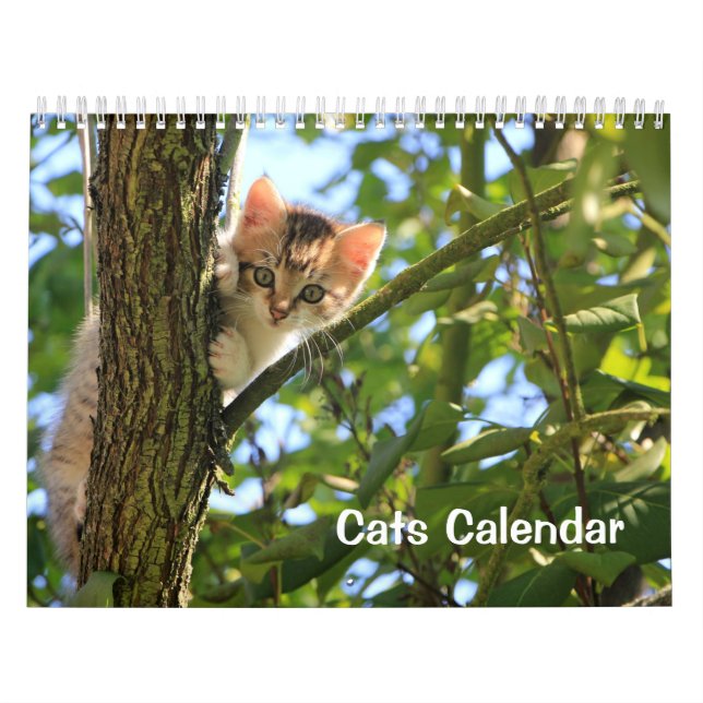 Calendrier Cat 2023 (Protection)