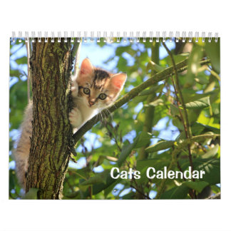 Calendrier Cat 2023