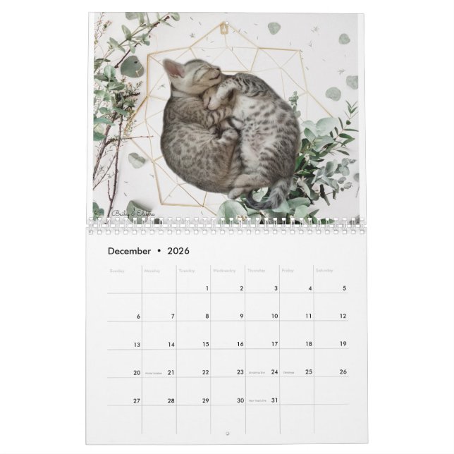 Calendrier Cat 2023 (Dec 2026)