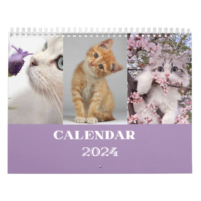 calendrier cat 2024 - calendrier coupe moderne (Protection)
