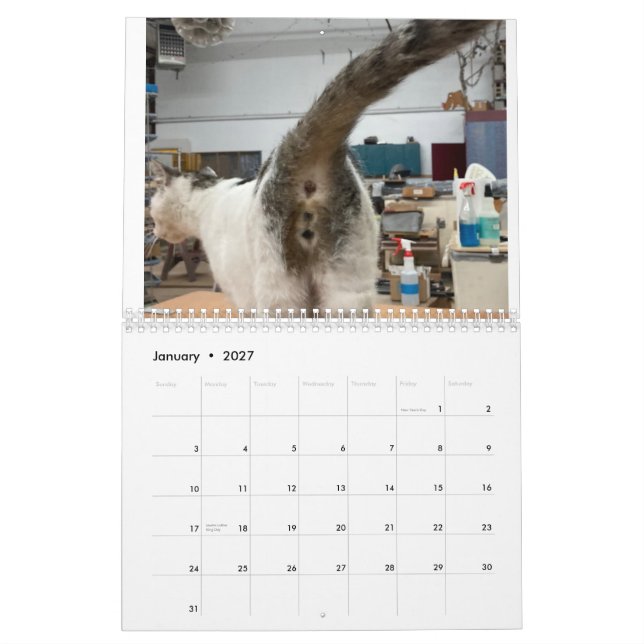 Calendrier Cat Butt 2022 (Jan 2027)