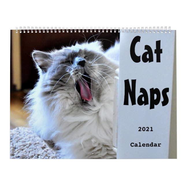Calendrier Cat Naps 2021 (Protection)