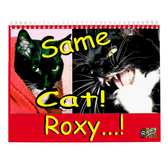 Calendrier Cat Roxy (Dos)