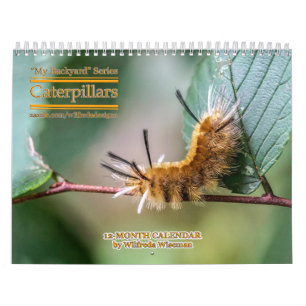 Calendrier Caterpiliers de la série Jardin