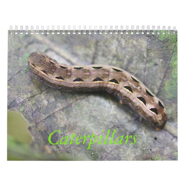 Calendrier Caterpillar classent (Protection)