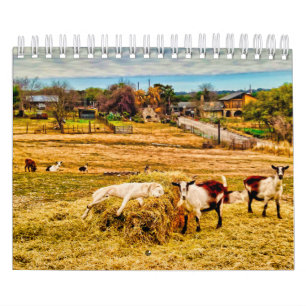 Calendrier Cathy P. Jones 2019