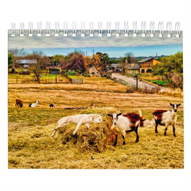 Calendrier Cathy P. Jones 2019 (Protection)