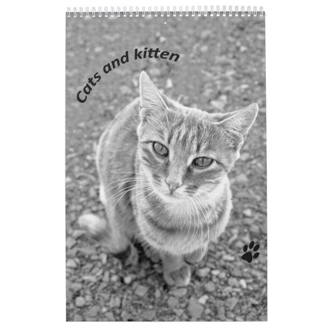 Calendrier Cats et kitten (Protection)