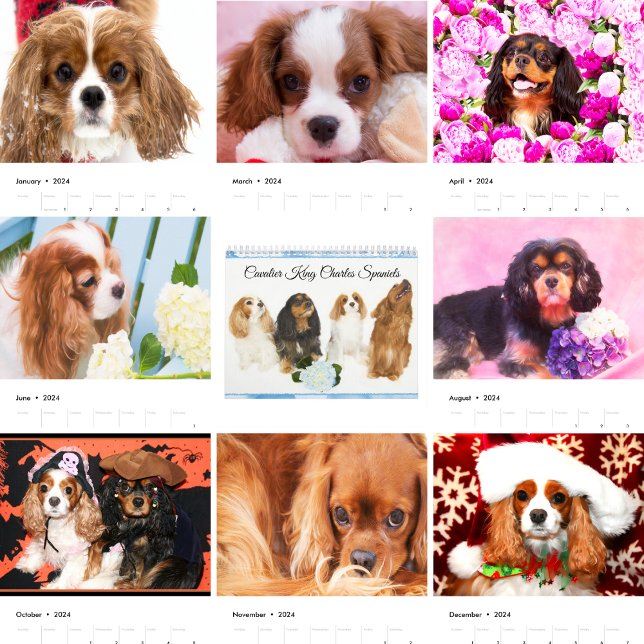 Calendrier Cavaliers King Charles Spaniels (Créateur téléchargé)
