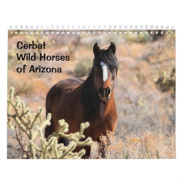Calendrier Cerbat Wild Horses Calendar (Protection)