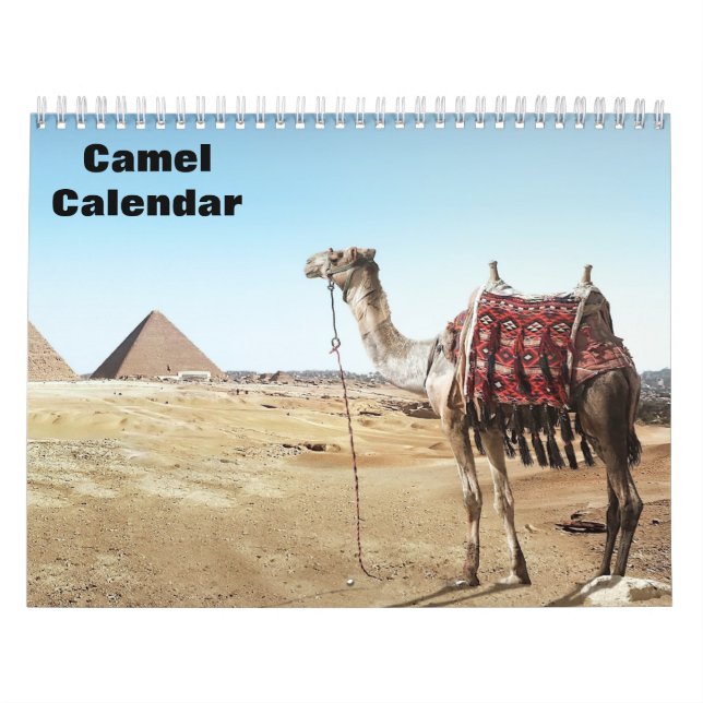 Calendrier Chameaux 2027 (Protection)