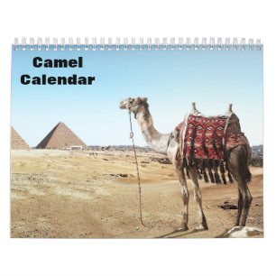 Calendrier Chameaux 2027