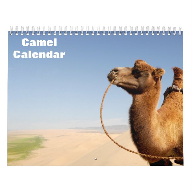 Calendrier chameaux 2027 (Protection)