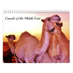 Calendrier Chameaux du Moyen-Orient