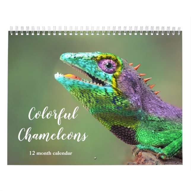 Calendrier Chameleons colorés 2026 (Protection)