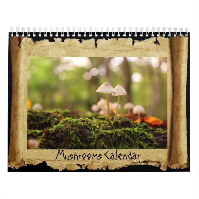 Calendrier Champignons (Protection)