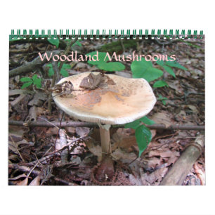 Calendrier - Champignons des bois