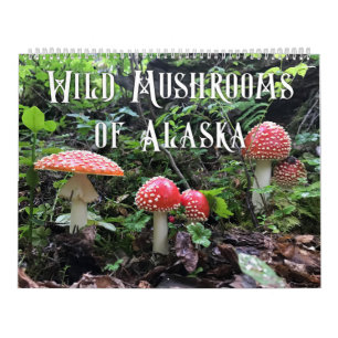 Calendrier Champignons sauvages de l'Alaska - Grand Calendrie
