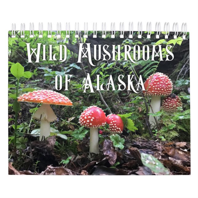 Calendrier Champignons sauvages de l'Alaska - Petit Calendrie (Protection)