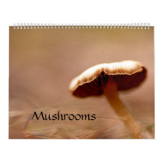 Calendrier : Champignons, Schrooms, champignons