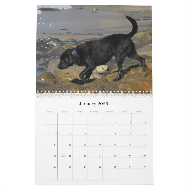 Calendrier chanceux 2012 de chien d'arrêt de (Jan 2026)
