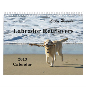 Calendrier chanceux 2013 de labrador retriever de