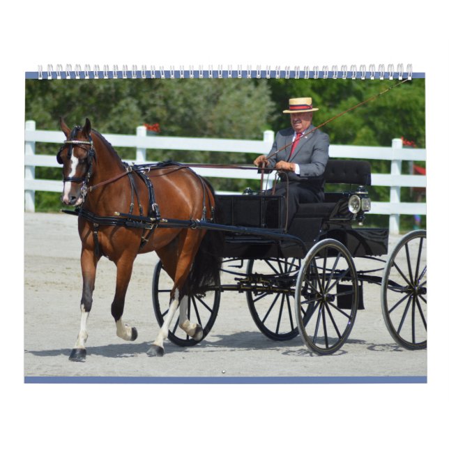 Calendrier Chariot de colline de noix conduisant le concours (Protection)