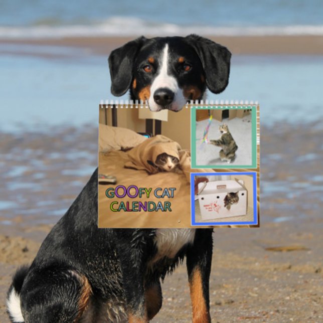 Calendrier chat idiot 2026 (woof)