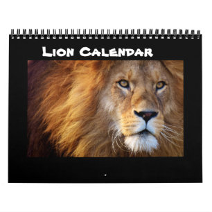 Calendrier Chat Lion Chats Roar Bienvenue Accueil Destinée De