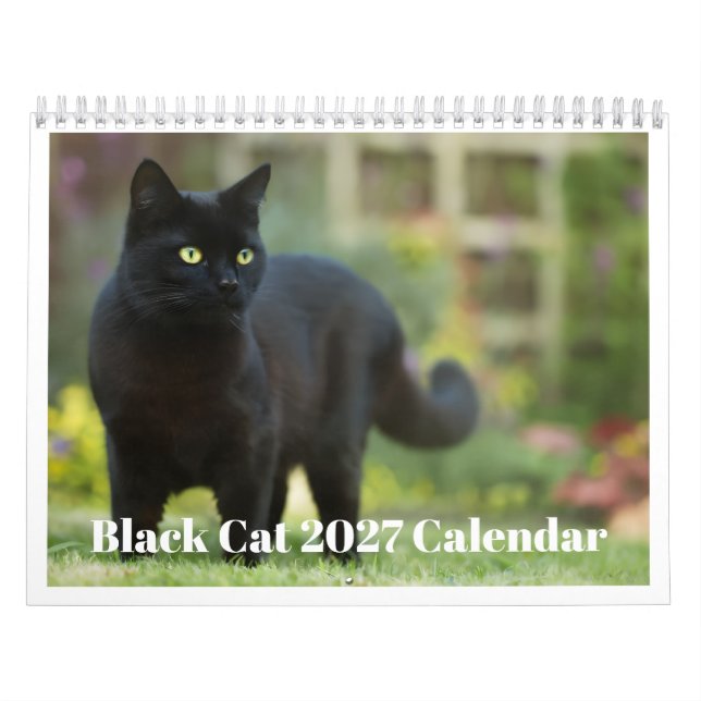 Calendrier Chat Noir 2027 (Protection)