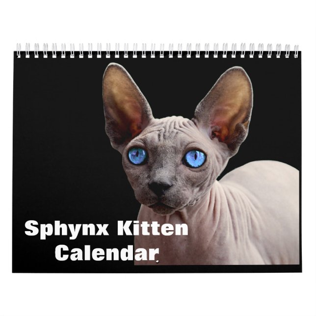 Calendrier Chaton Sphynx 2027 (Protection)